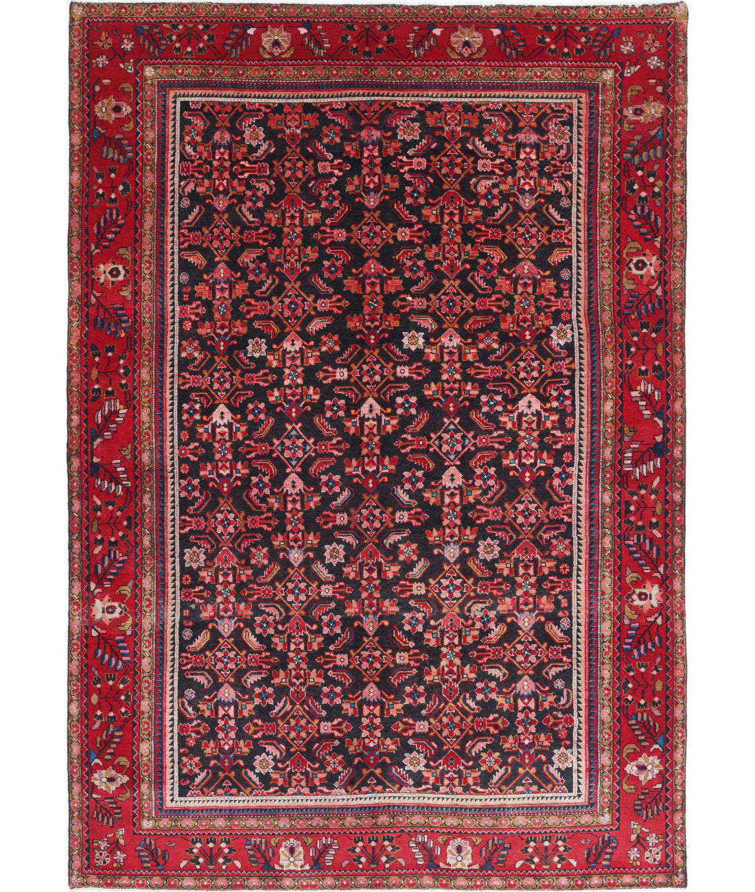 Hand Knotted Oriental Hamadan Wool Rug - 6'11'' x 9'11''