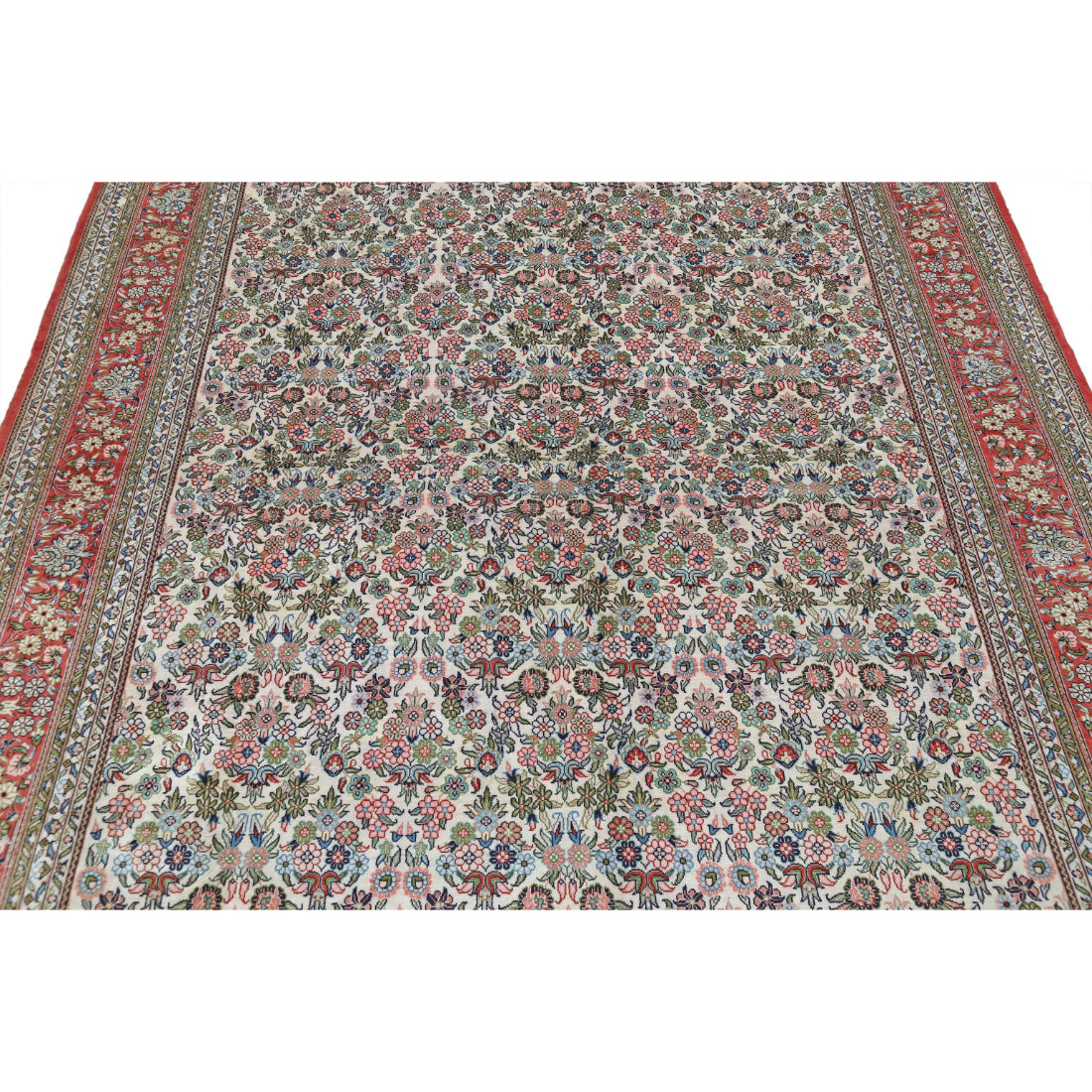 The Apricot Veil
