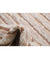 hand-knotted-morocaan-wool-rug-5013497-5.jpg