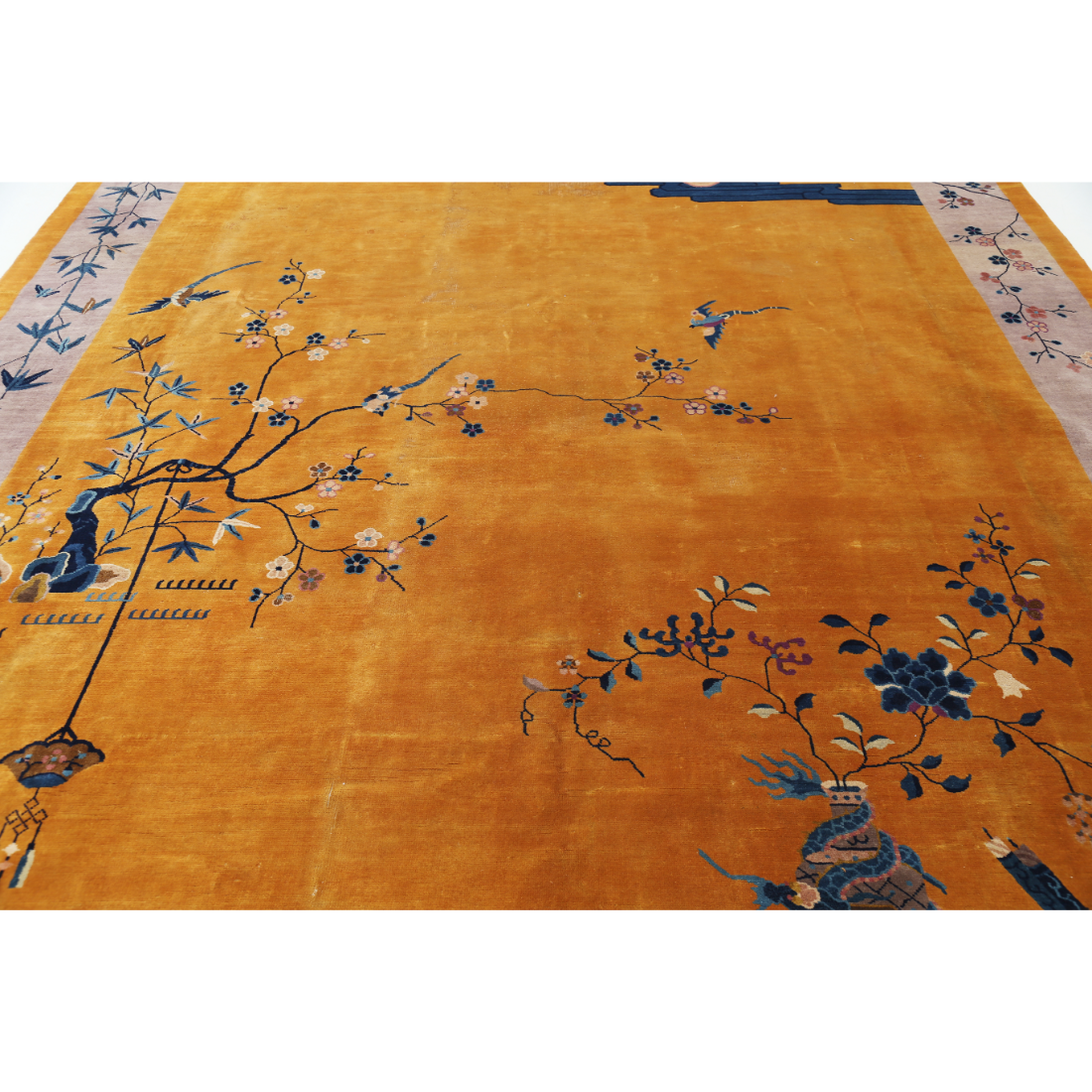 The Terracotta Thicket