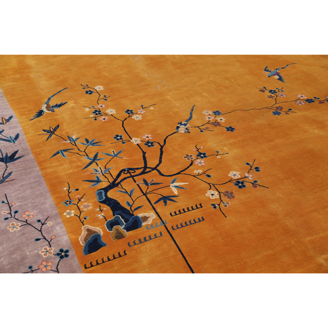 The Terracotta Thicket