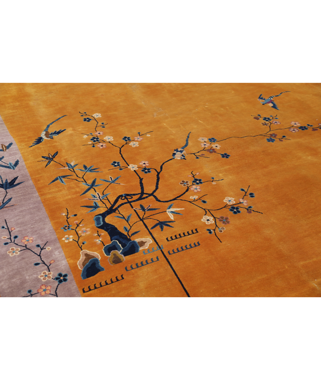 The Terracotta Thicket