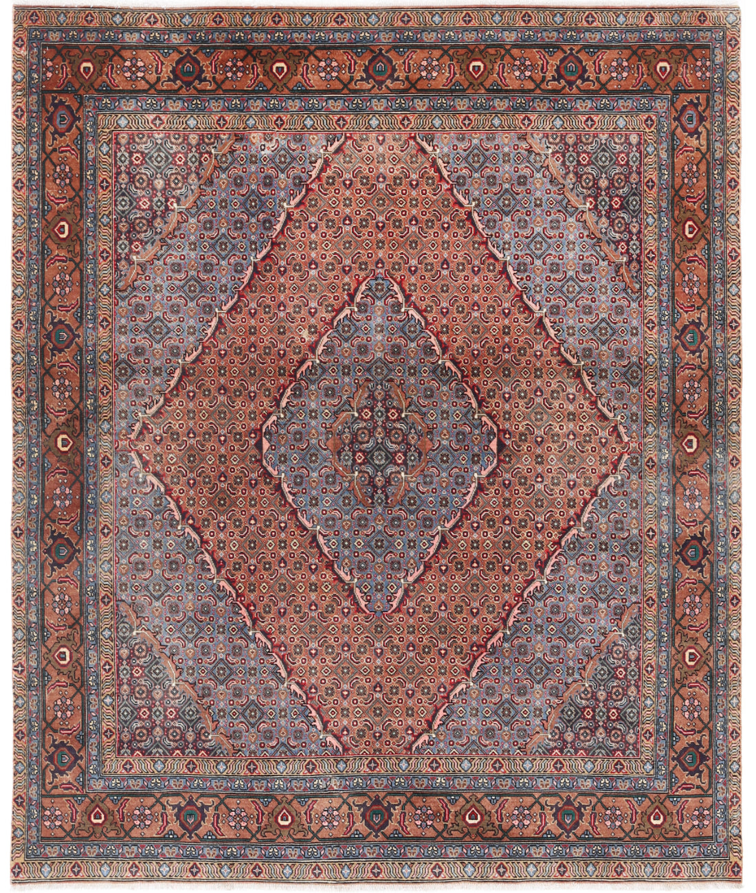 The Clove Cartouche