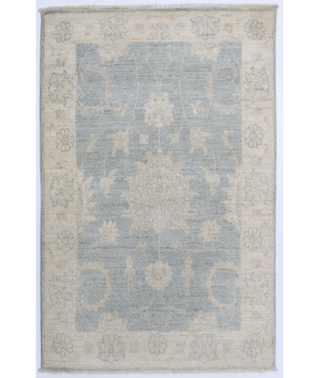 Hand Knotted Serenity Wool Rug 2' 2" X 3' 4"