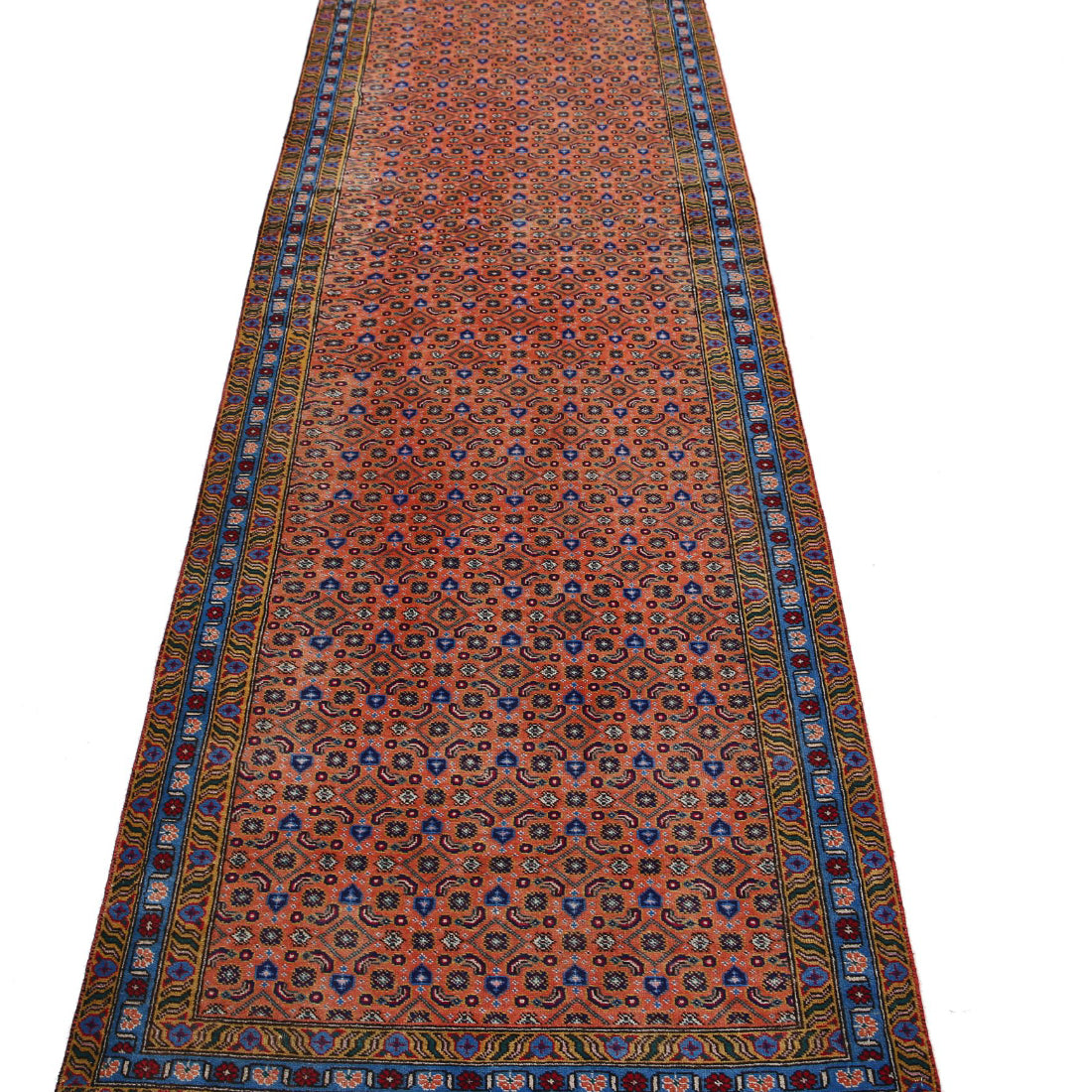 The Auburn Lattice