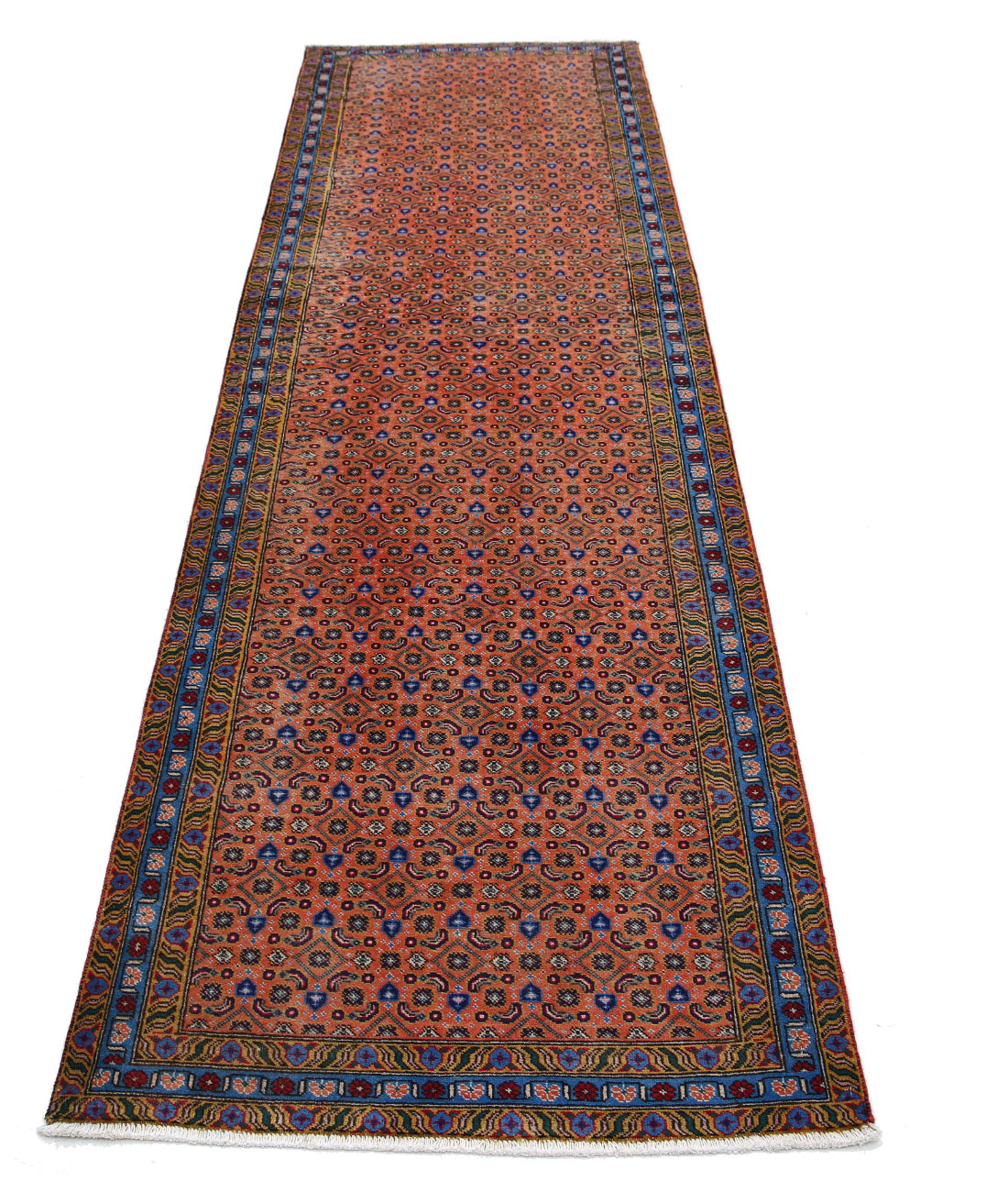 The Auburn Lattice
