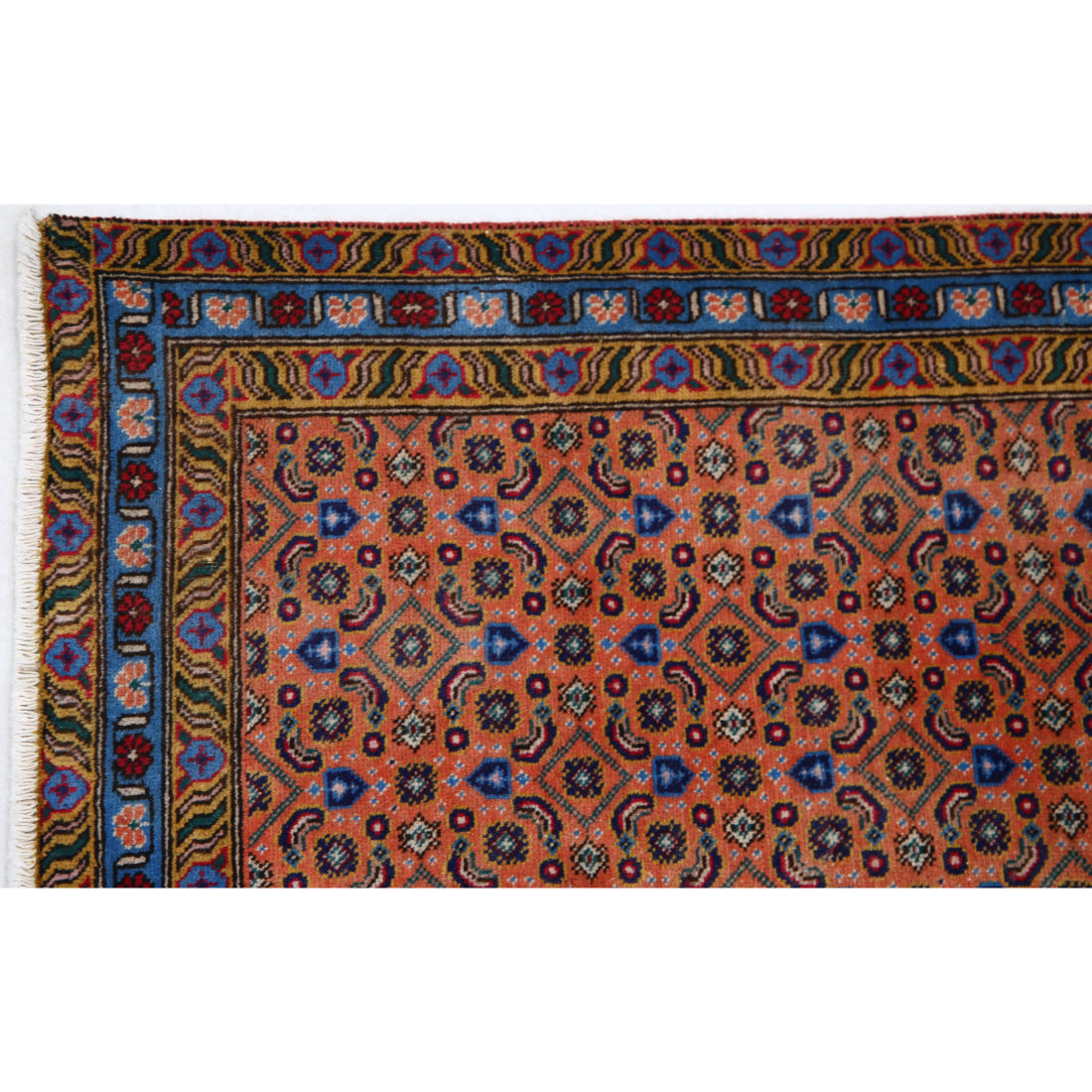 The Auburn Lattice