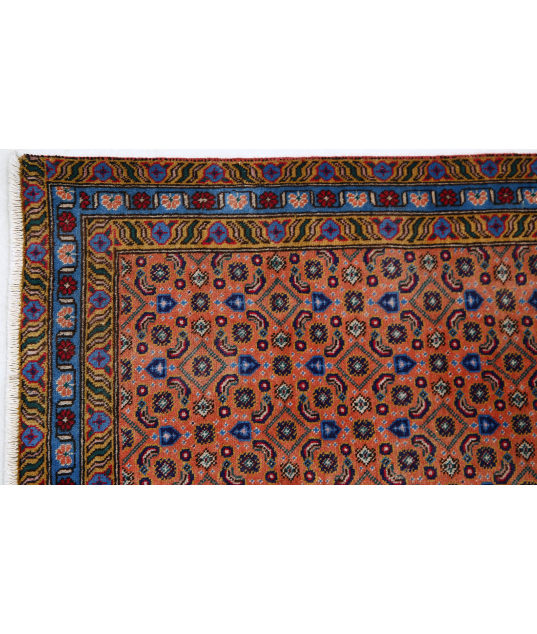 The Auburn Lattice
