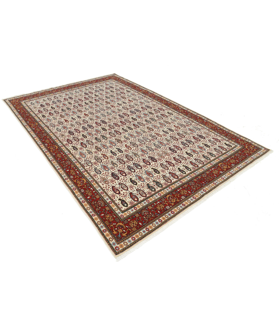 Hand Knotted Persian Tabriz Wool Rug - 6'5'' x 9'5'' 6'5'' x 9'5'' (193 X 283) / Ivory / Red