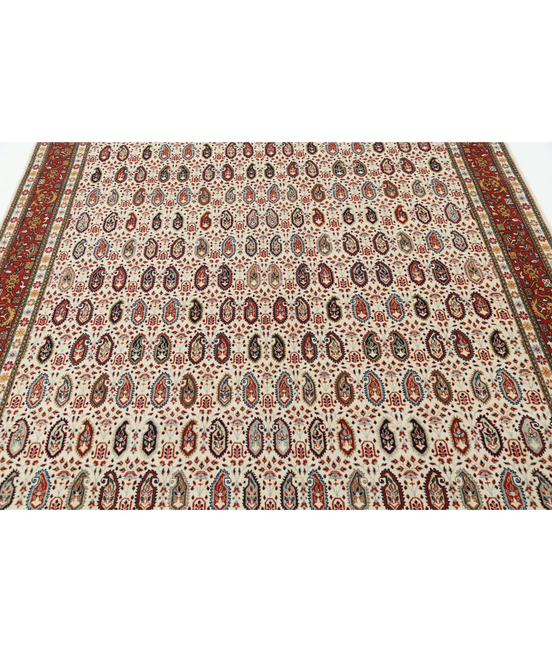 Hand Knotted Persian Tabriz Wool Rug - 6'5'' x 9'5'' 6'5'' x 9'5'' (193 X 283) / Ivory / Red