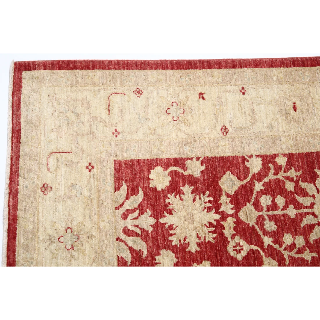 The Sunlit Tapestry