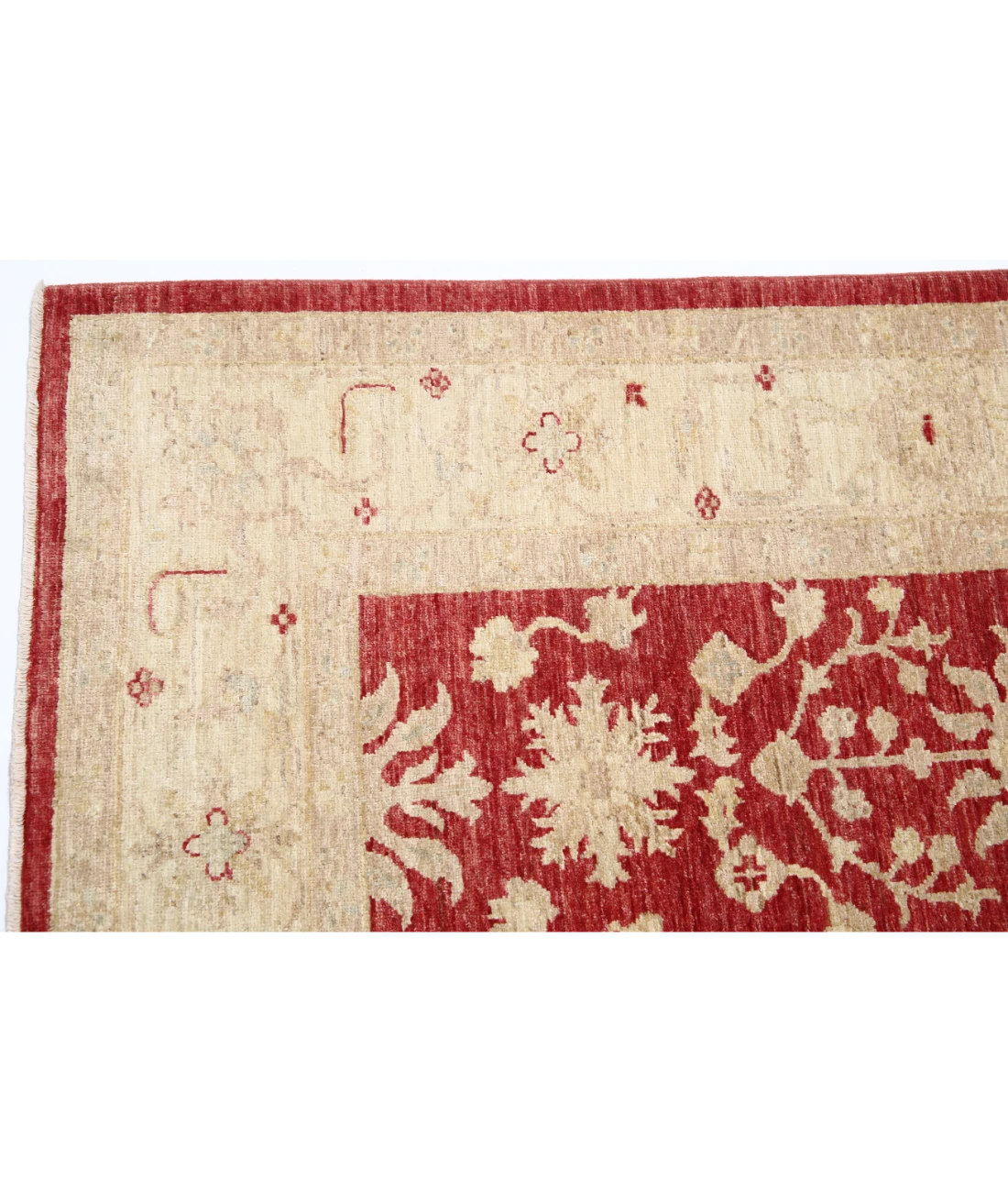 The Sunlit Tapestry